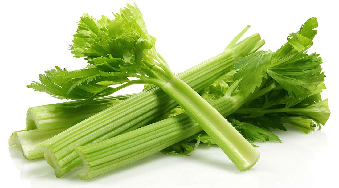Celery – more than a superfood